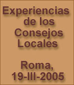 Experiencias de los Consejos Locales 2005